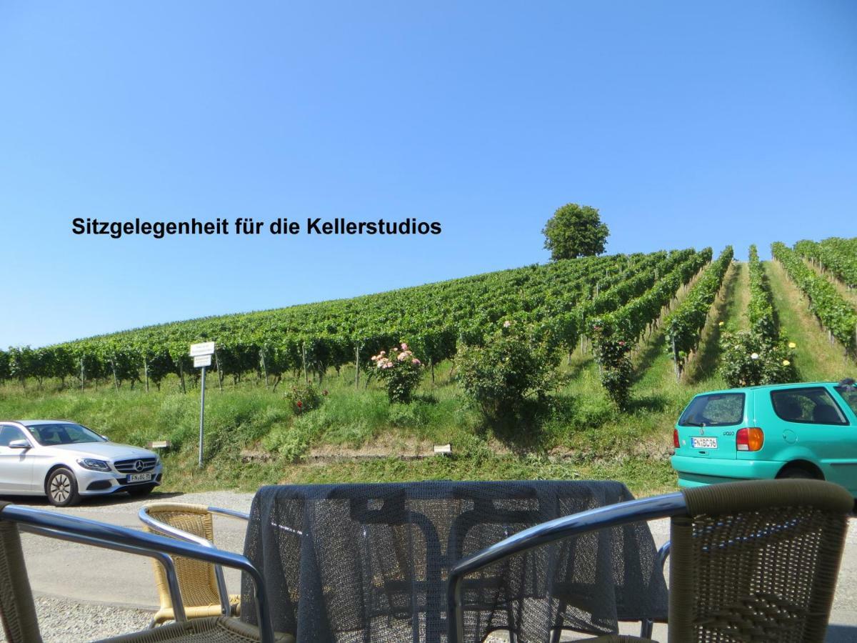 Gaestehaus Sommertal Mit Pool Im Garten, Eigener Parkplatz, 800M Zum Bodensee, 300M Zur Altstadt Meersburg Εξωτερικό φωτογραφία